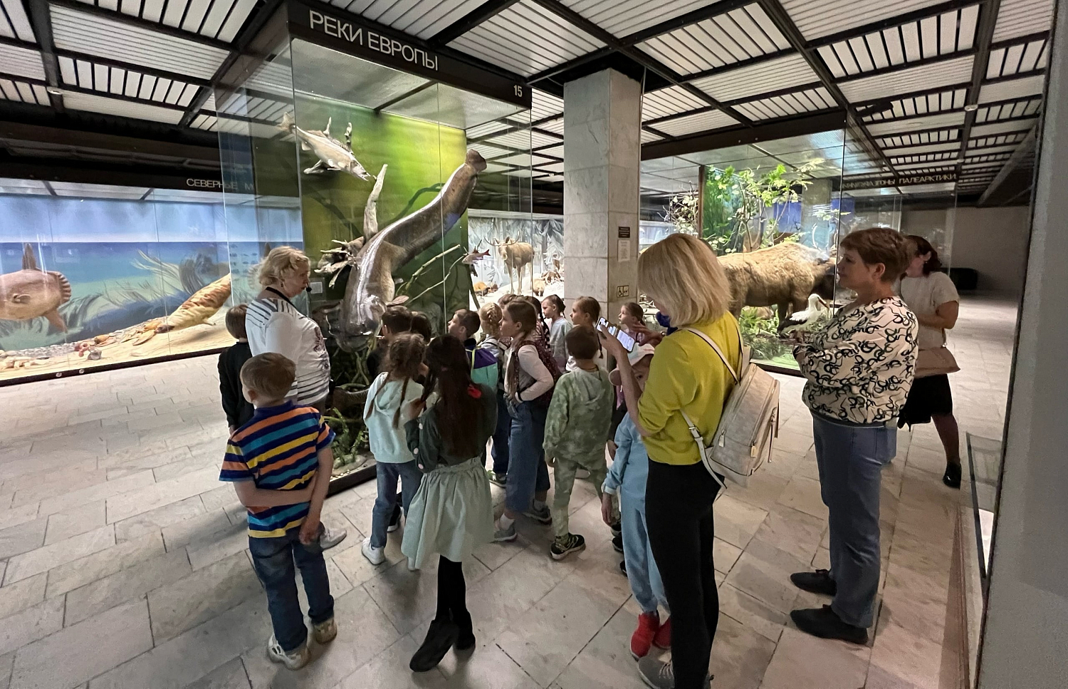Дети познакомились с животным миром в Дарвиновском музее